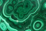 Flowery Polished Malachite Slab - DR Congo #360530-1